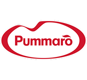 Pummaro-Logo380x350-1