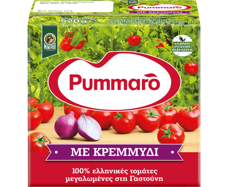 Pummaro-me-kremmidi-520-800x654-1-aspect-ratio-800-654