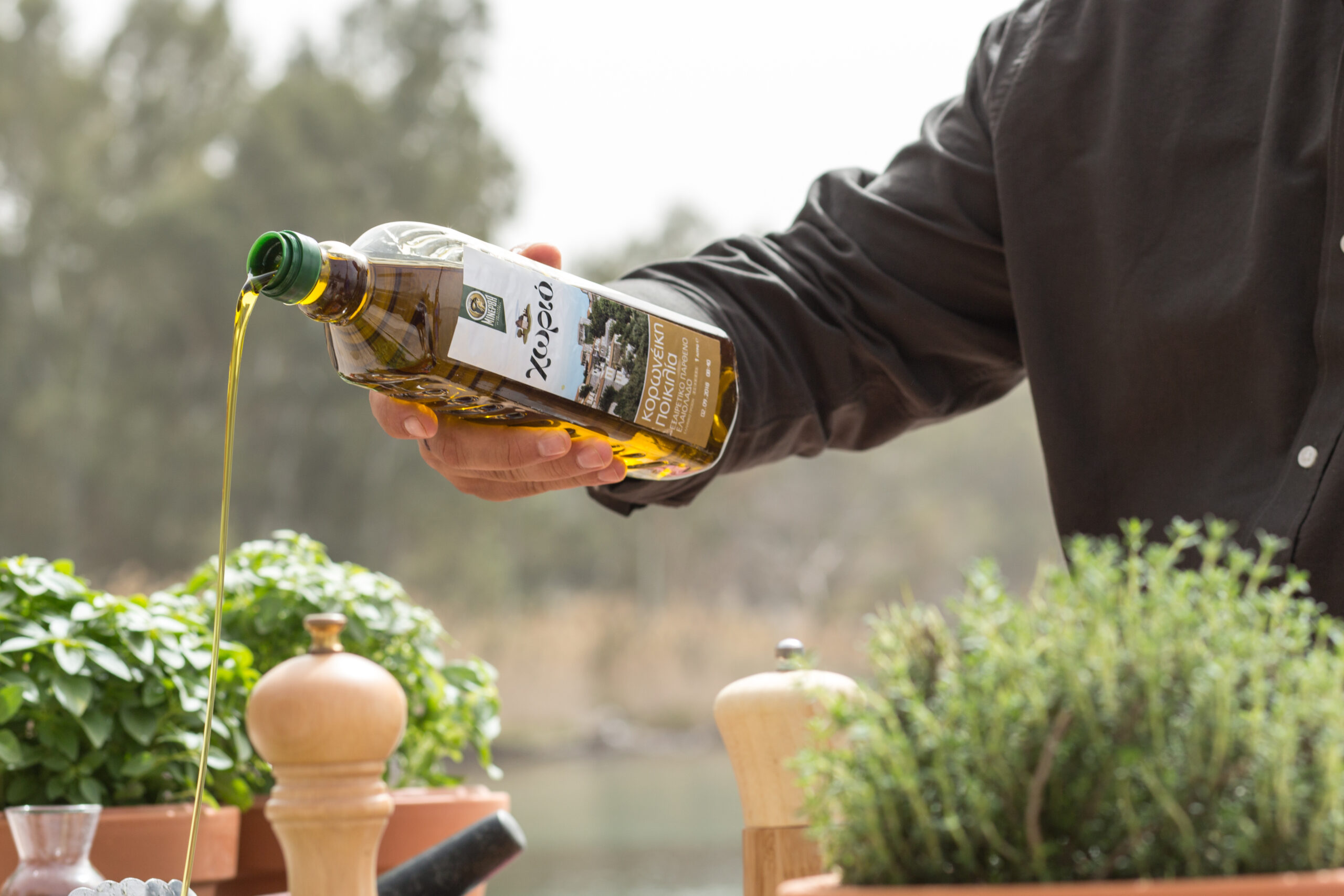 Μινέρβα Χωριό - Αίγινα-397