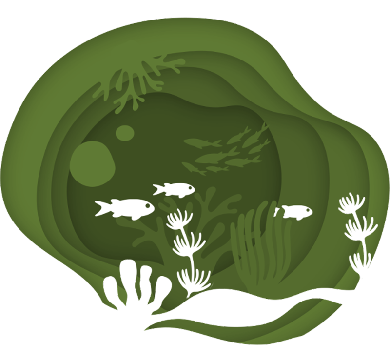 1_kukladitika_kerasmata_2842-4-aspect-ratio-800-742