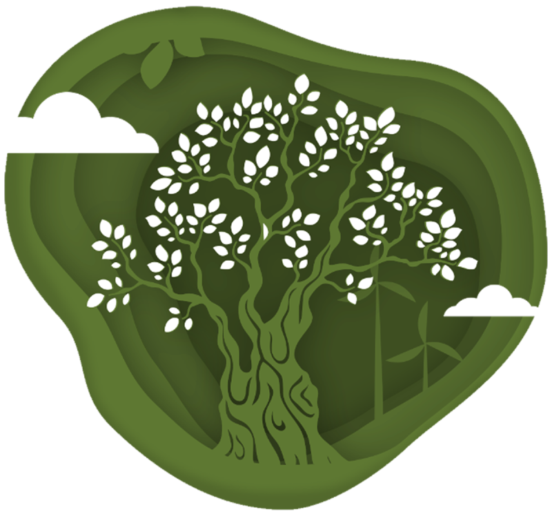 1_kukladitika_kerasmata_2842-6-aspect-ratio-800-742