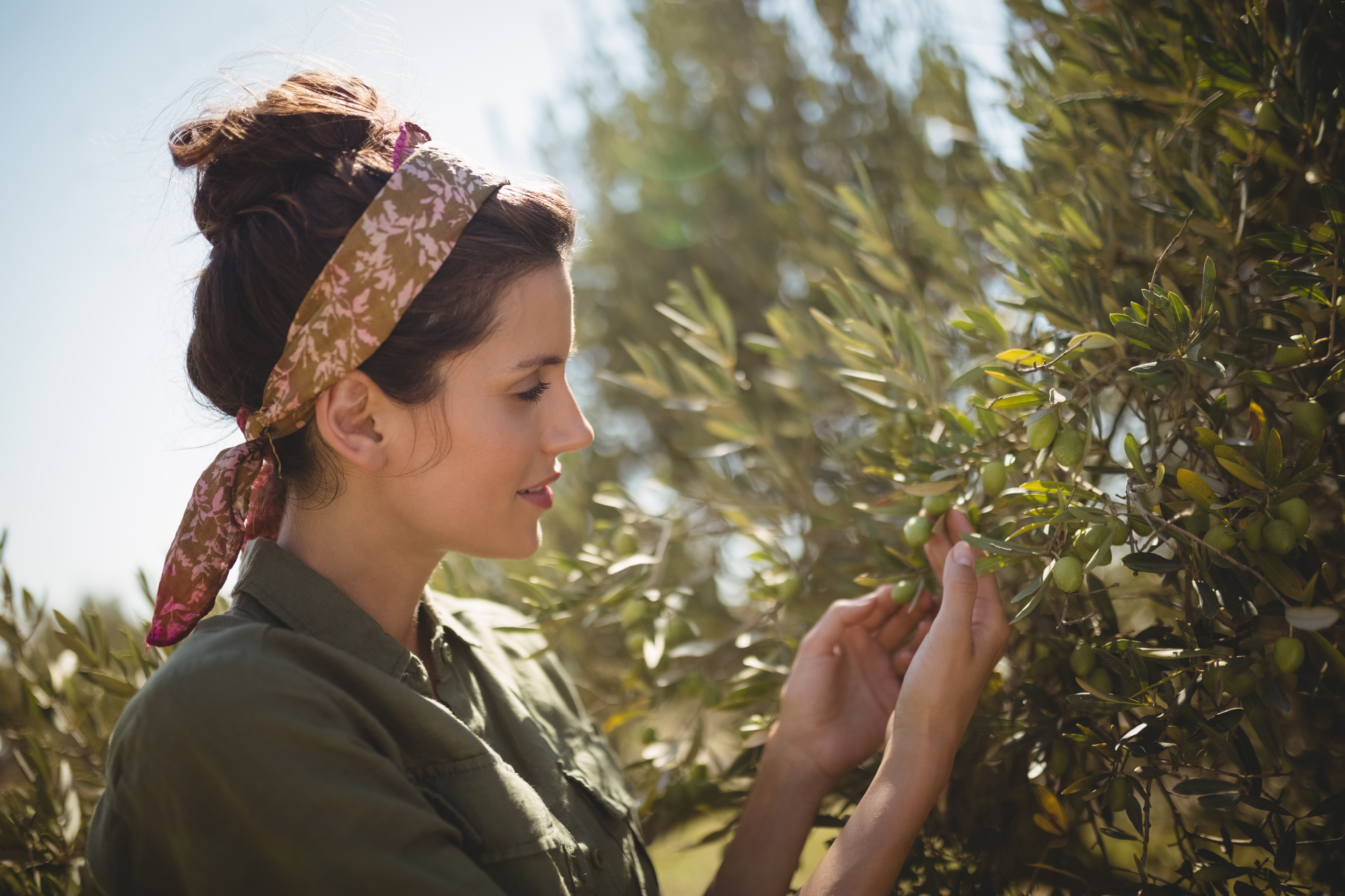 Close up of woman holding olive tree at farm on sunny day