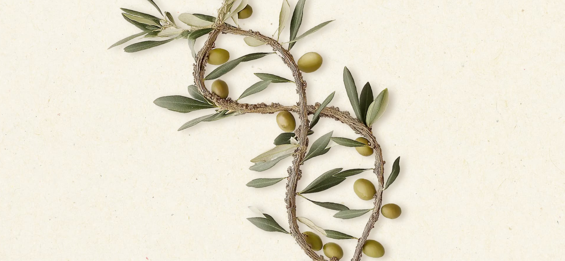 Viosimes-praktikes-anaptuksis-photo