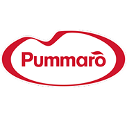 Pummaro-Logo380x350-1