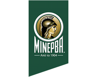 minerva-2-aspect-ratio-312-250