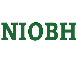 niovi-aspect-ratio-312-250