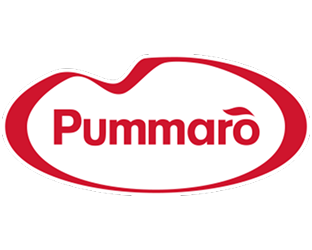 pummaro-1-aspect-ratio-312-250
