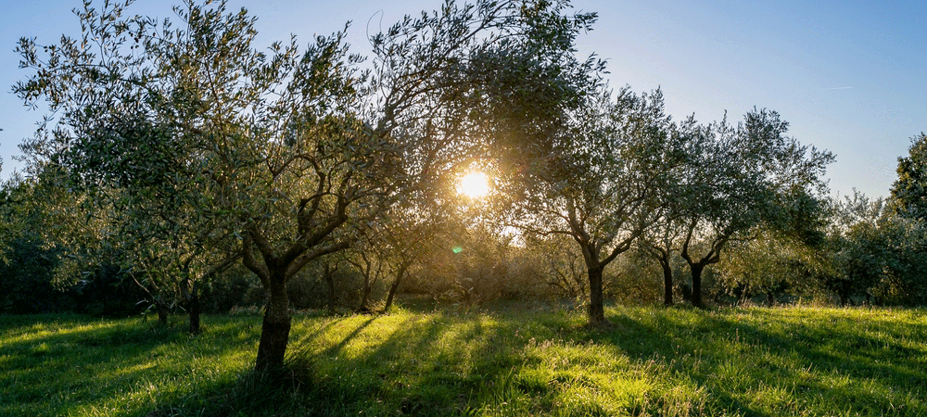 shutterstock_2445913875-aspect-ratio-1866-840