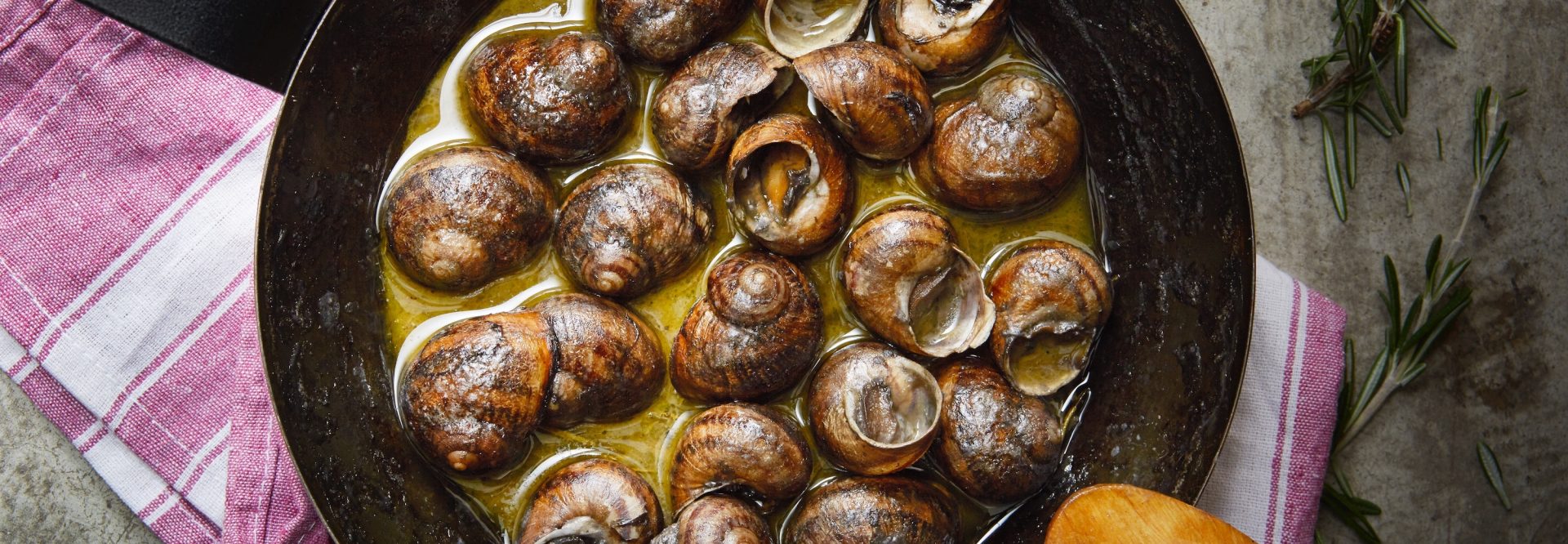 14_xoxlioi-bourbouristoi460