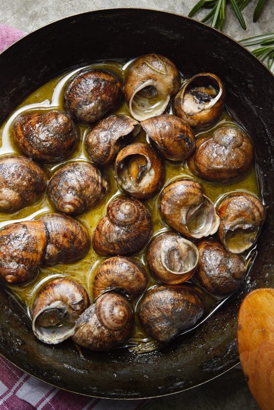 14_xoxlioi-bourbouristoi460