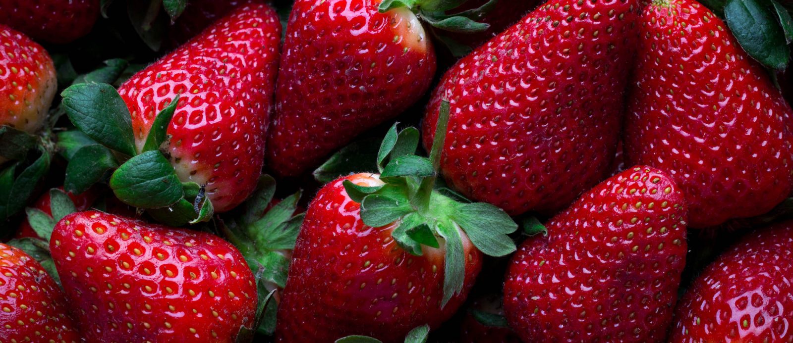 2-ugeia-exei-geusi-fraoulas