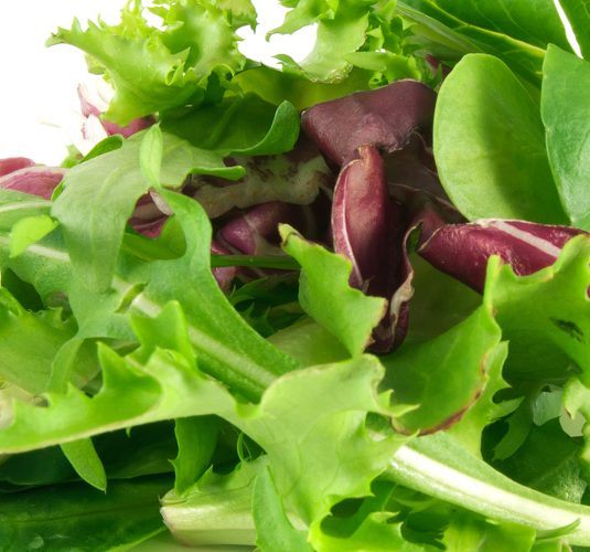 41_Prasini-salata-me-damaskina-1300