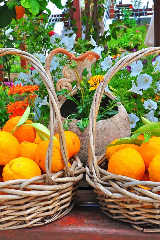 695novemberfruitsveg