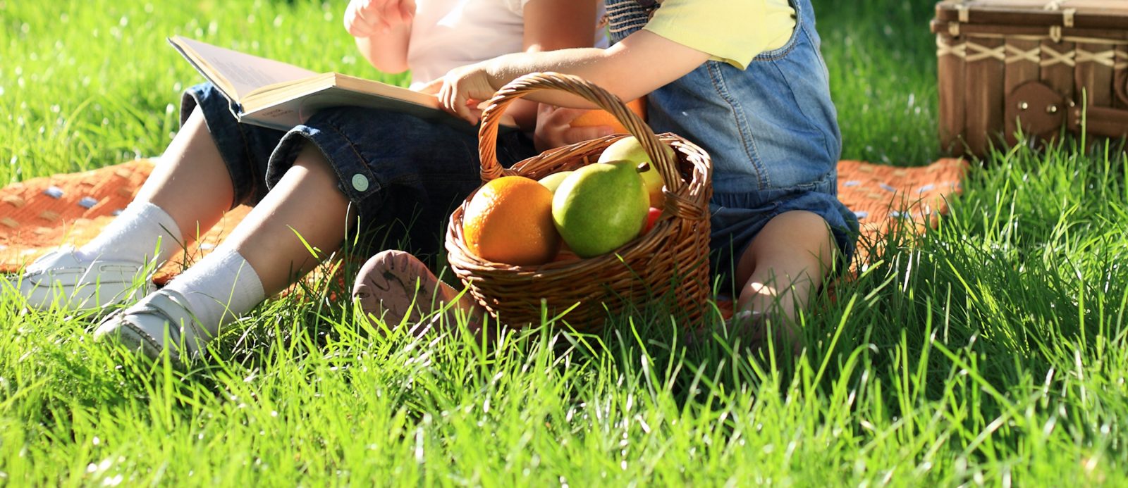 diatrofi_paidia_viologika_proionta_695