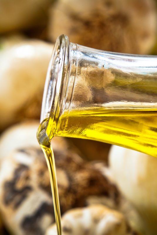 eleolado-enas-politimos-simmachos-zois_695