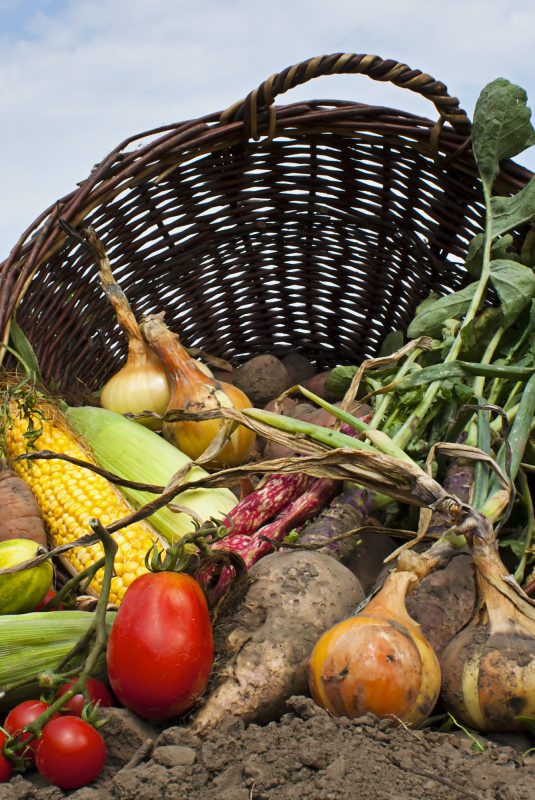 frouta_lax_iounios695