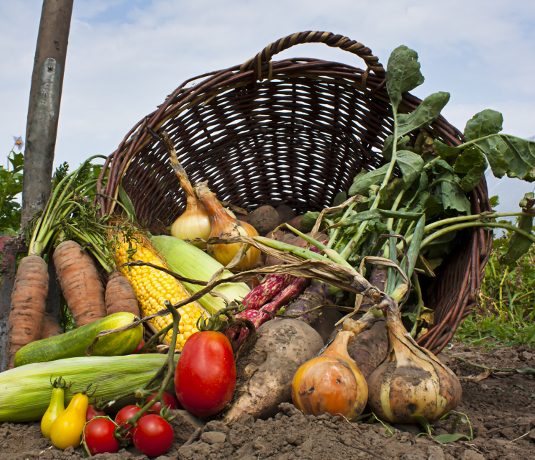 frouta_lax_iounios6951