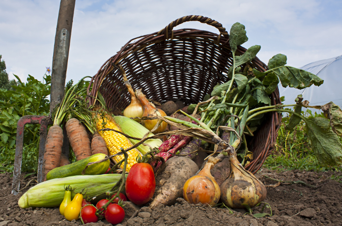 frouta_lax_iounios6951