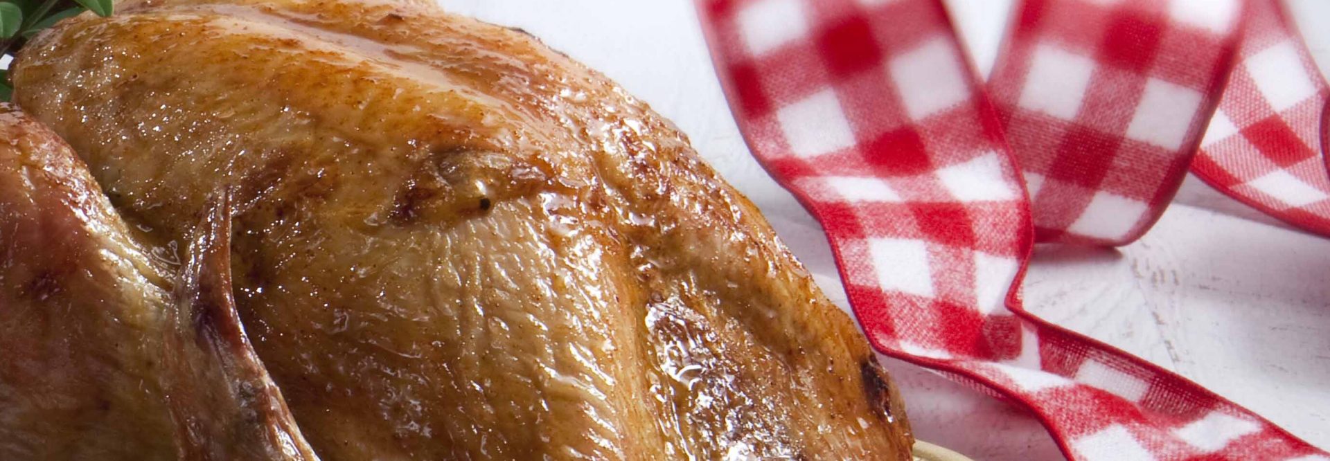 galopoula-gemisti_460-e1680622680523