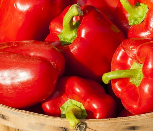 redpeppers695