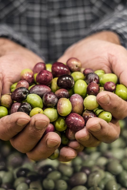 Ασφαλή-τρόφιμα_blogpost_695